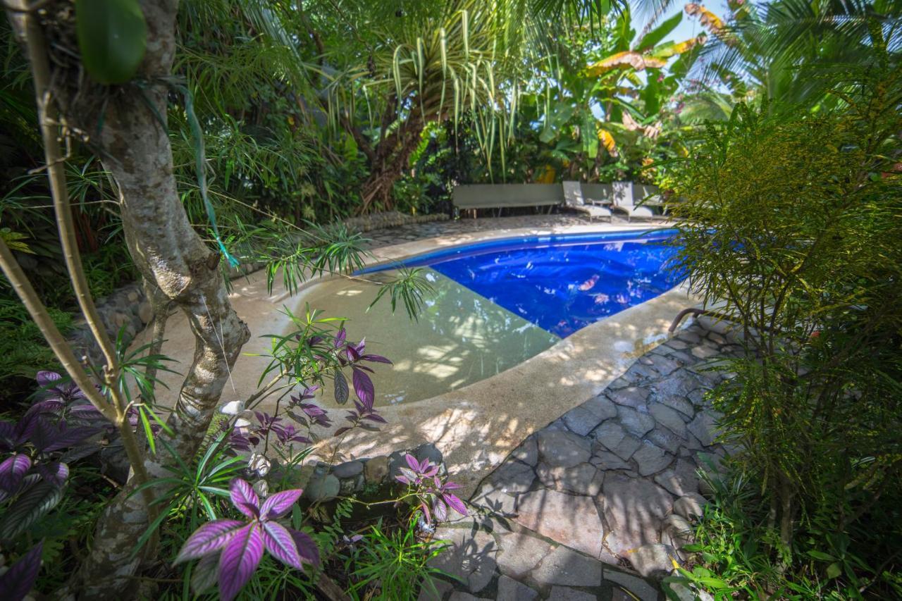Villas Oasis Vườn quốc gia Vườn quốc gia Manuel Antonio Ngoại thất bức ảnh